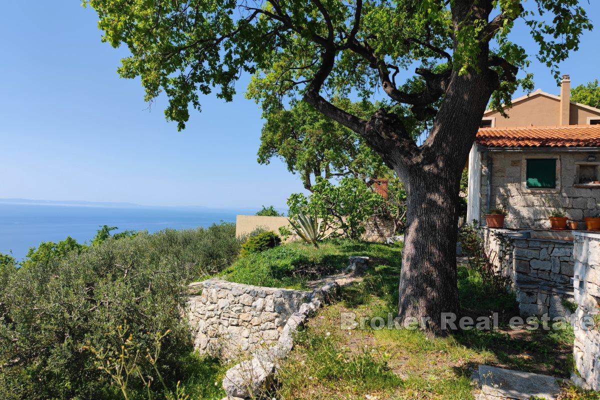 A house in nature with a panoramic view of the sea