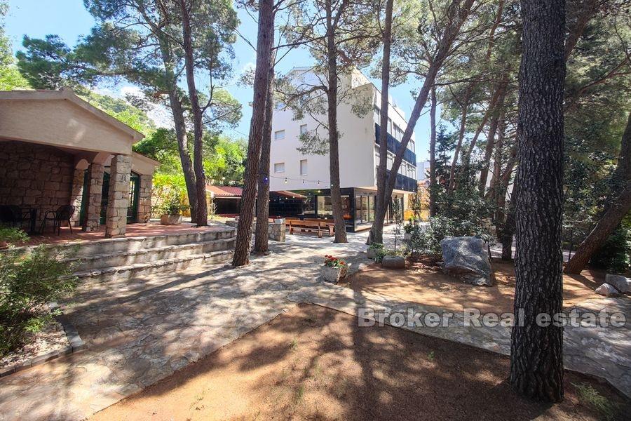 A large estate with houses for vacation and tourism