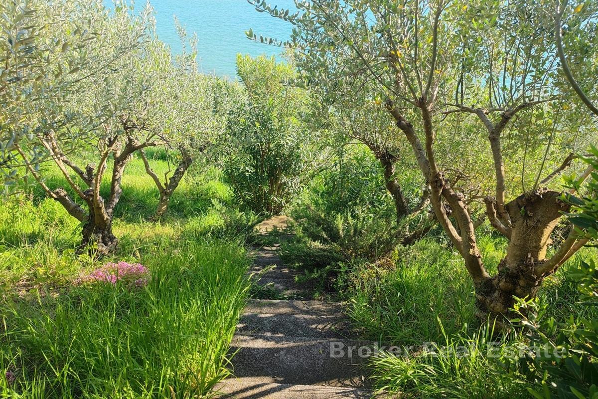 Hus första raden mot havet
