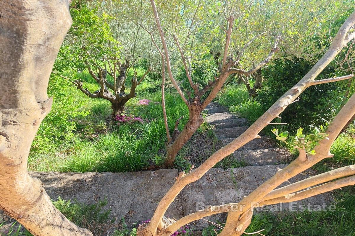 Hus första raden mot havet