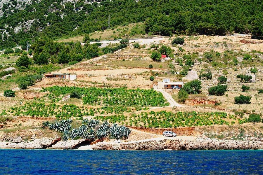 Unique land plot, for sale