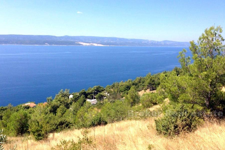 Terrain à bâtir