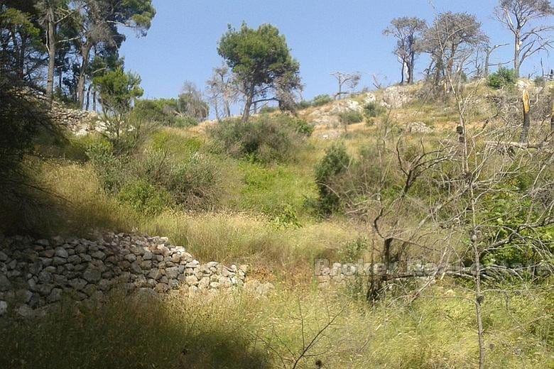 Building plot, for sale