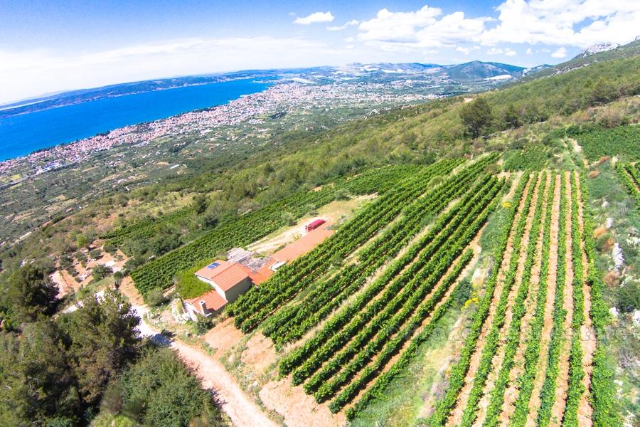 Maison sur un beau vignoble de 12 000 m2