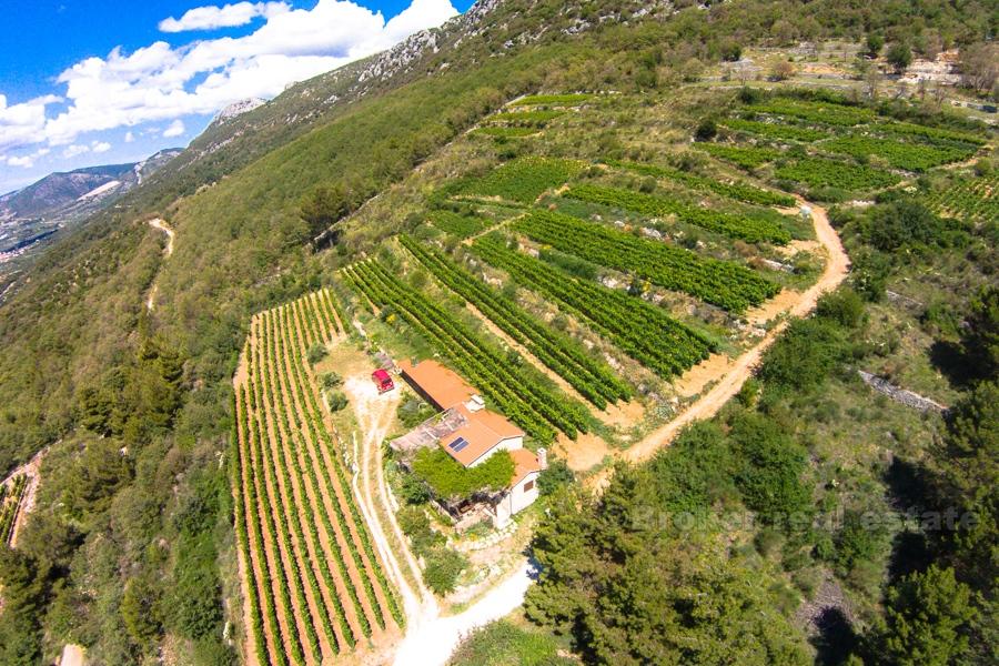 Maison sur un beau vignoble de 12 000 m2