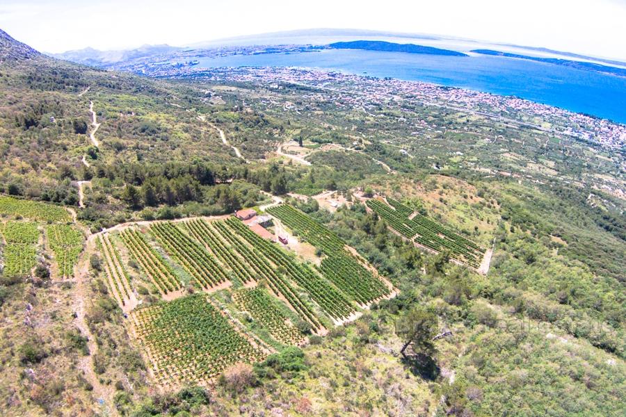 Haus auf einem schönen Weinberg von 12 000 m2