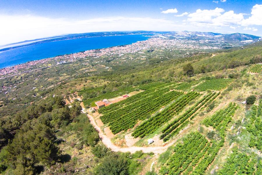 Hus på en vacker vingård på 12 000 m2