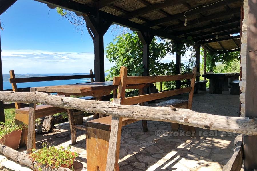 Hus på en vacker vingård på 12 000 m2