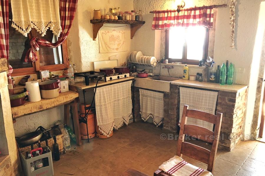 Hus på en vacker vingård på 12 000 m2