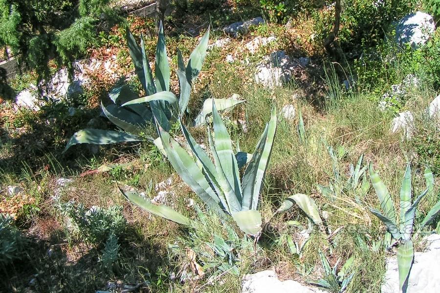 House with villa project, for sale