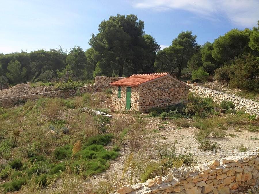 Casa di pietra per la ricostruzione, isola di Brac