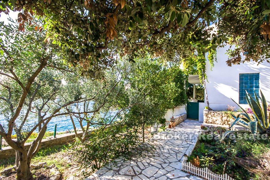 Exceptional real estate, business opportunity