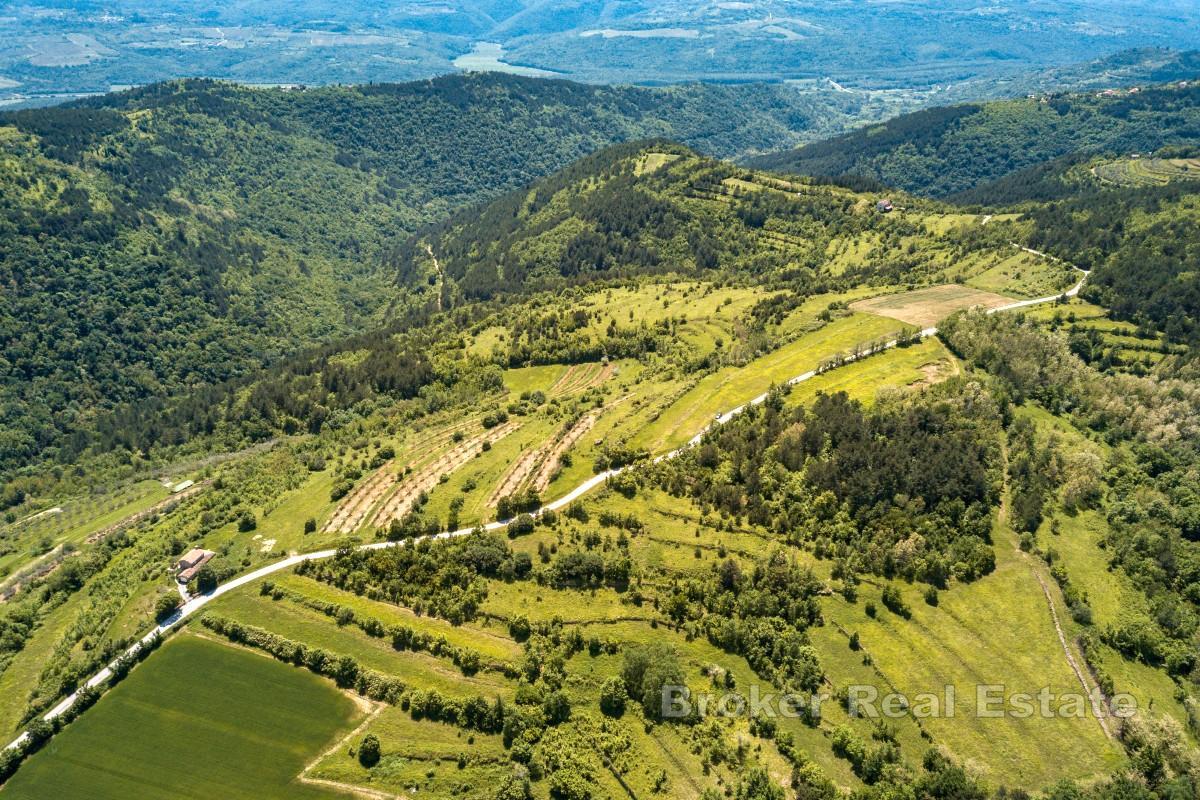 Propriété unique au design novateur et au fort potentiel d'investissement