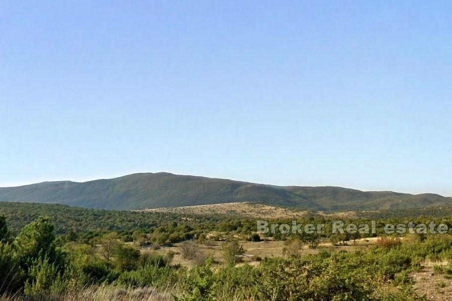 Large agricultural land
