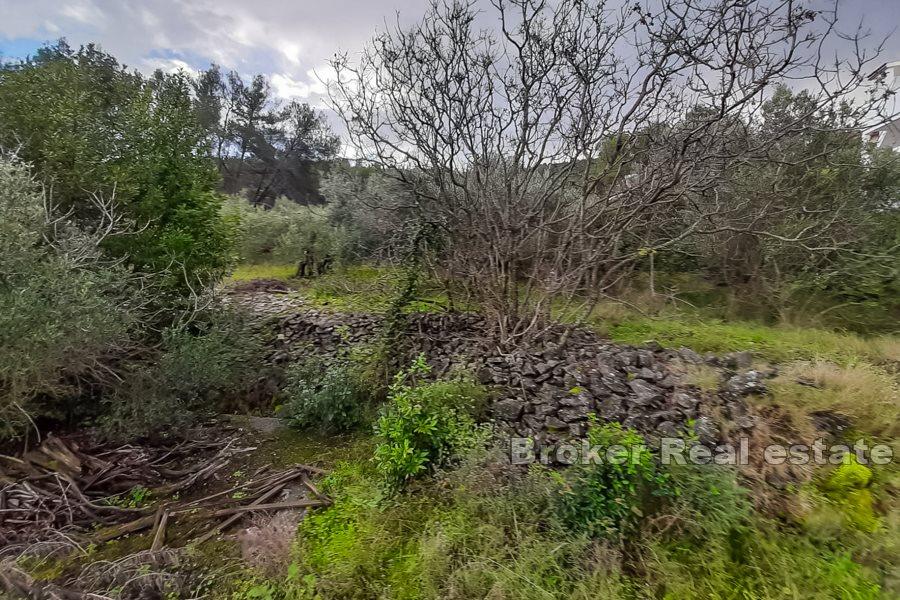 Terrain constructible avec vue mer