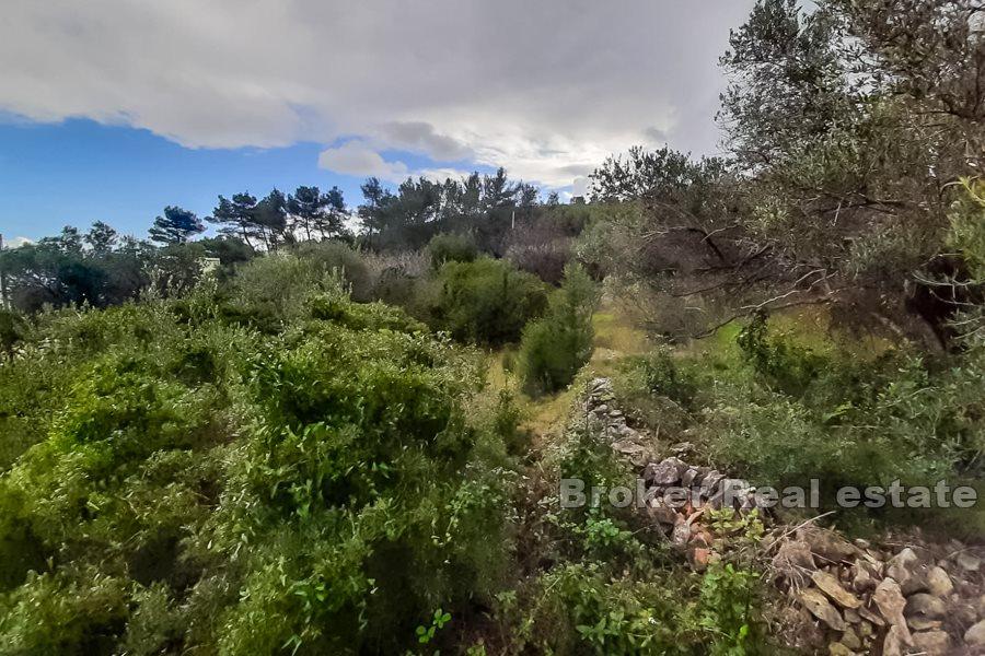 Terrain constructible avec vue mer