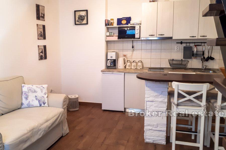 Manus, duplex apartment in the city center