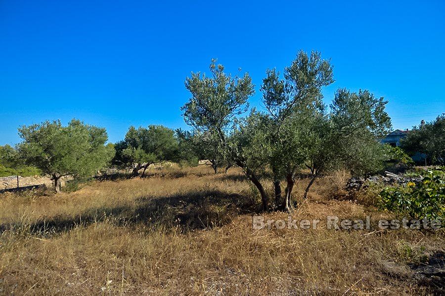 Building land with sea view