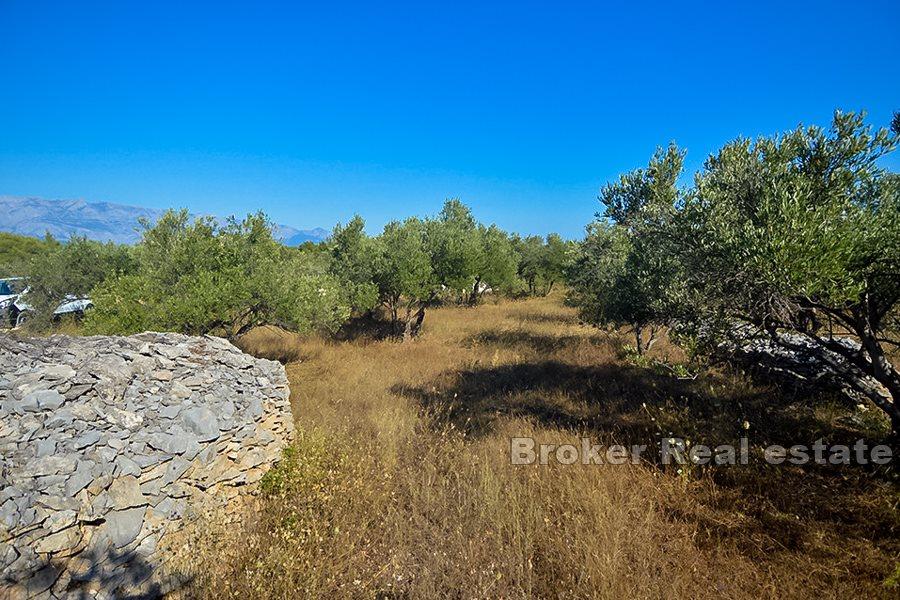 Building land with sea view