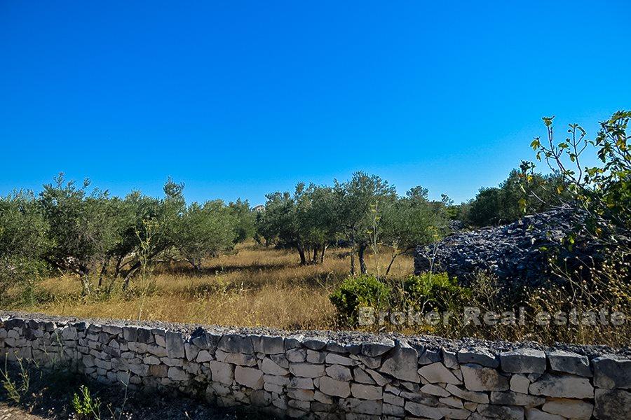Building land with sea view