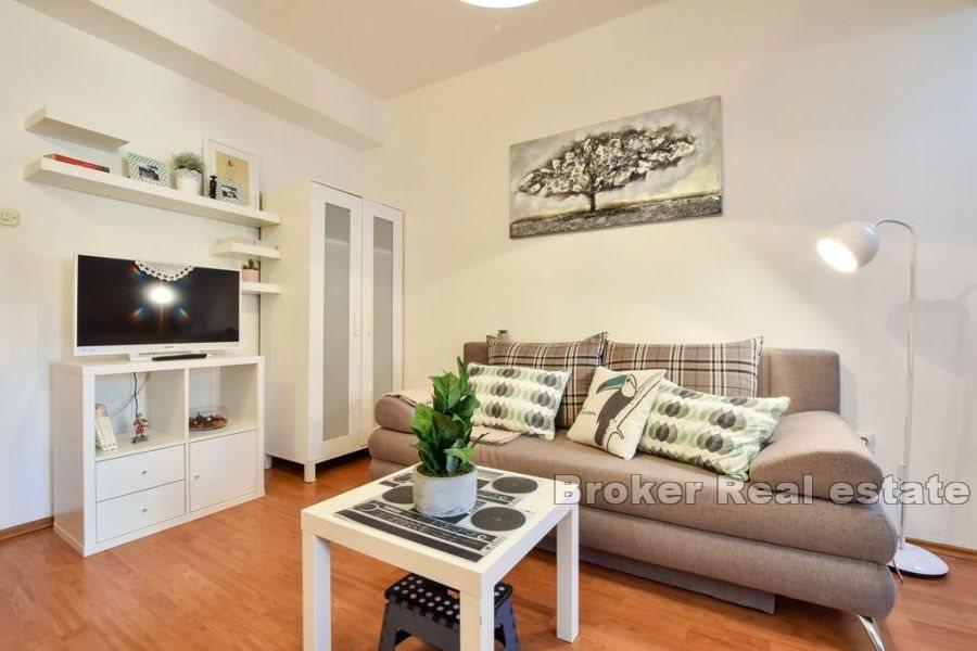 Apartment near the waterfront overlooking the city, Center