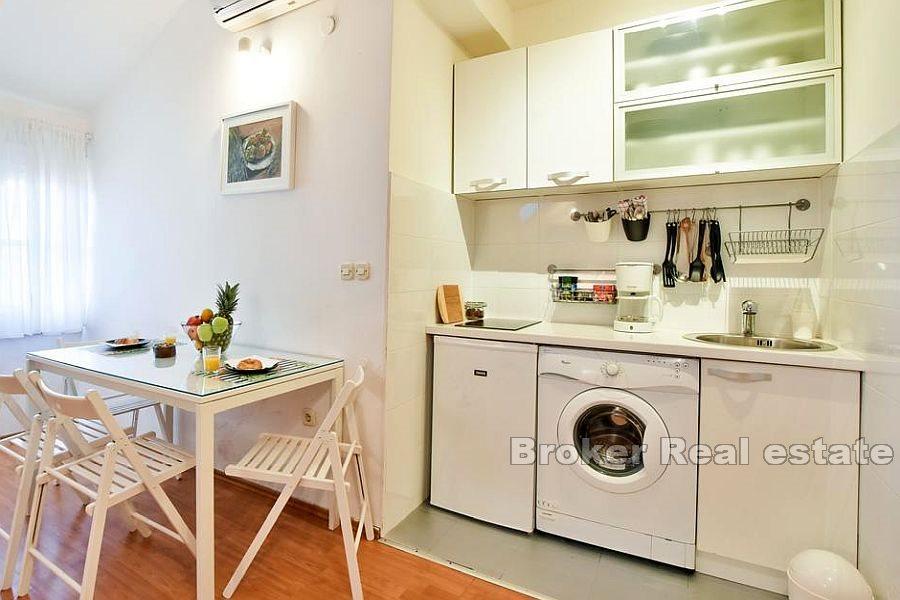 Apartment near the waterfront overlooking the city, Center