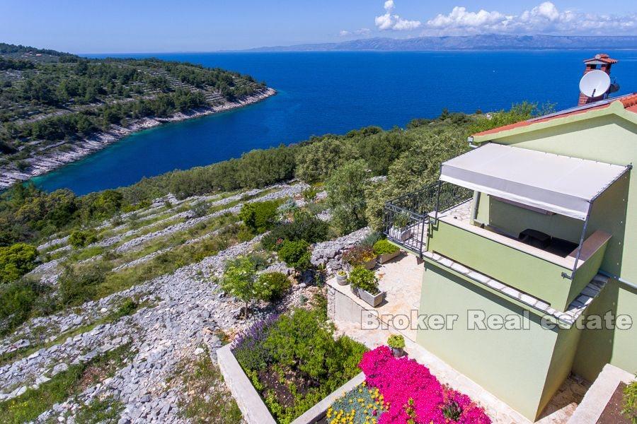 House with olive grove in an exceptional location