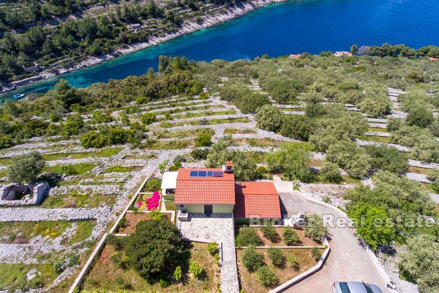Hus med olivenlund i en eksepsjonell beliggenhet