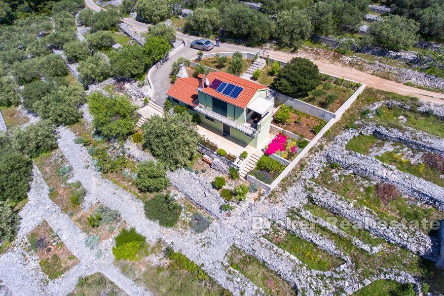 Дом с оливковой рощей в исключительном месте