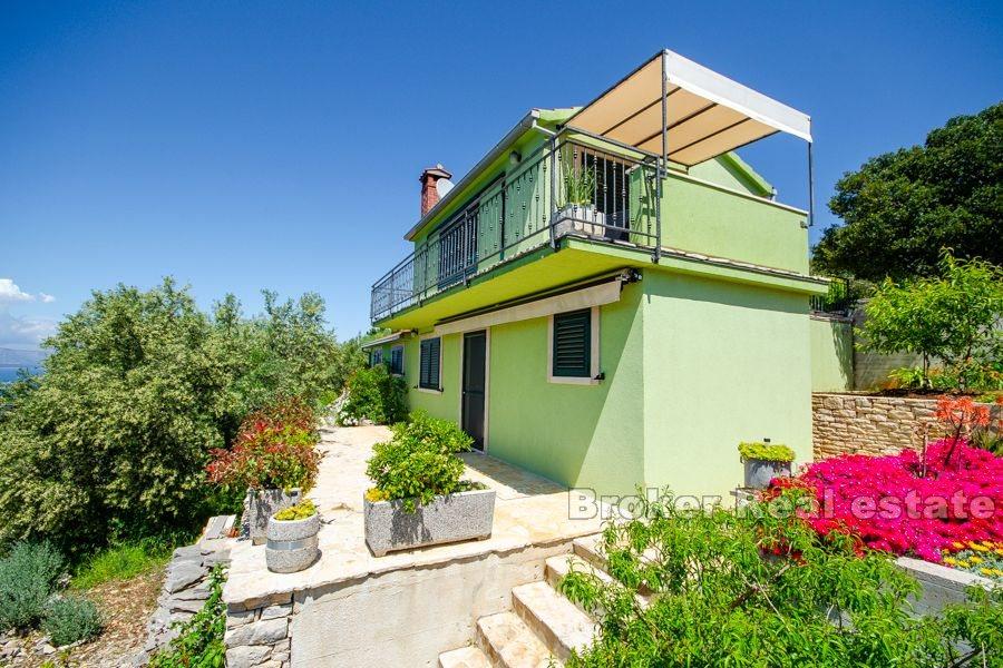 Kuća s maslinikom na izuzetnoj lokaciji