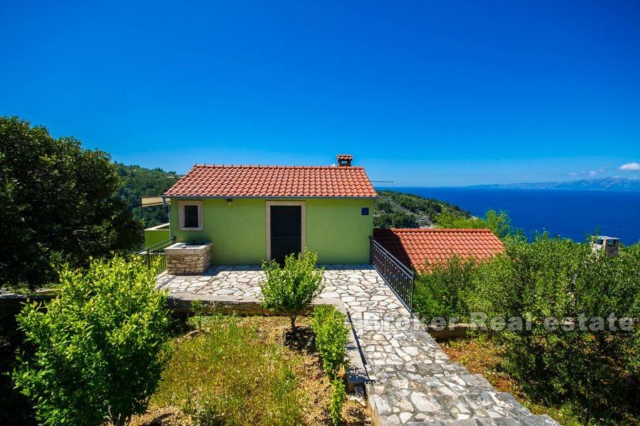 Дом с оливковой рощей в исключительном месте