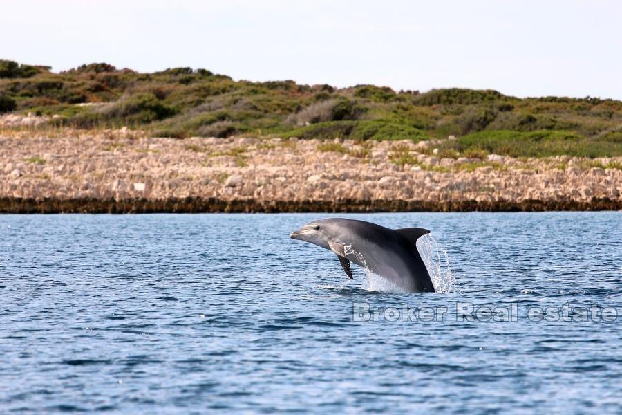 Byggmark, första raden mot havet, Vinišće