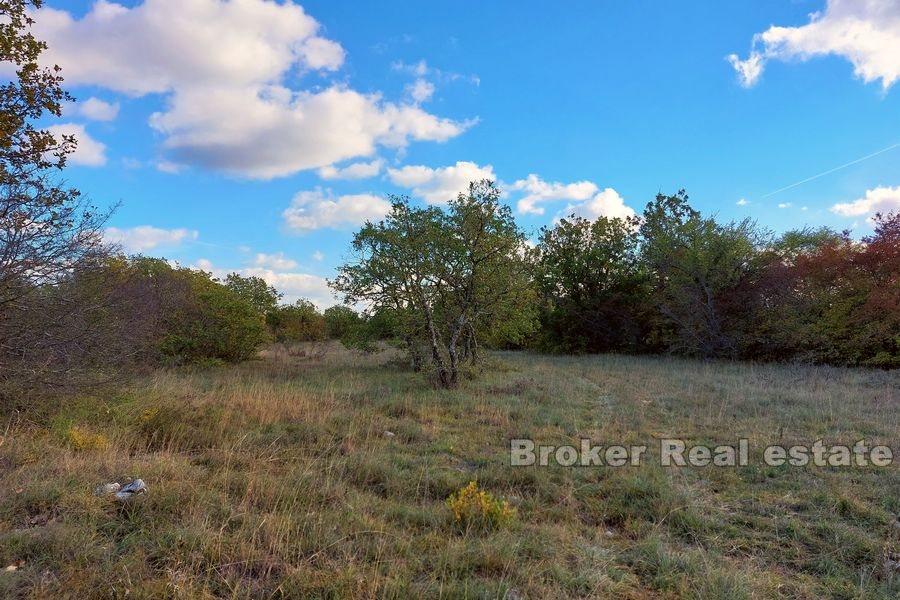 Grand terrain constructible