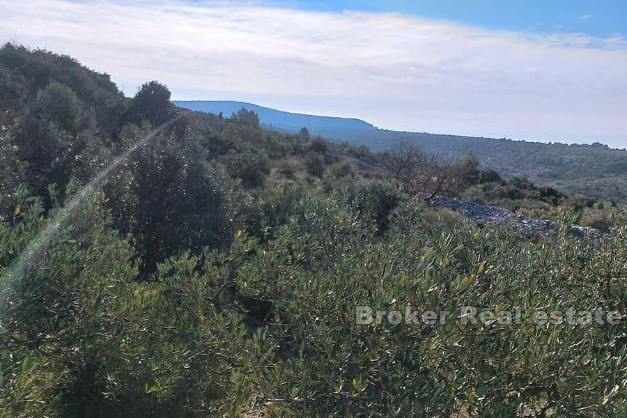 Building plot with sea view