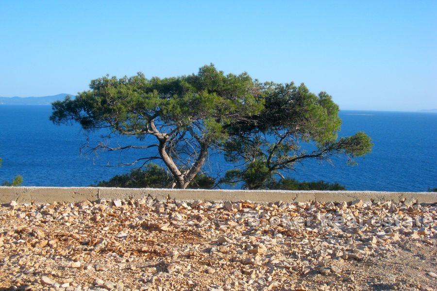 Grande terreno agricolo in prima fila al mare