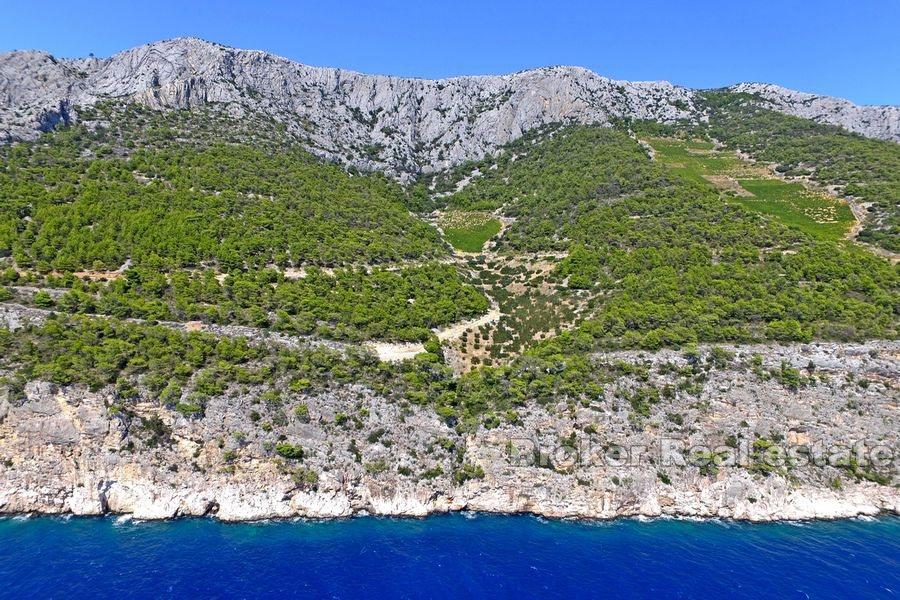 Grande terreno agricolo in prima fila al mare
