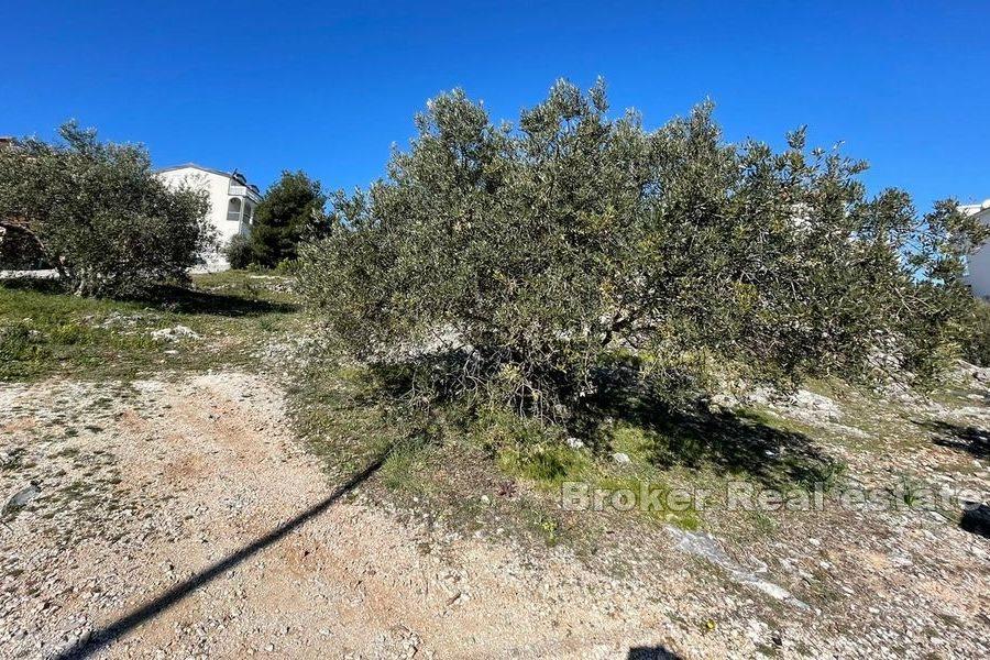Building land near the sea