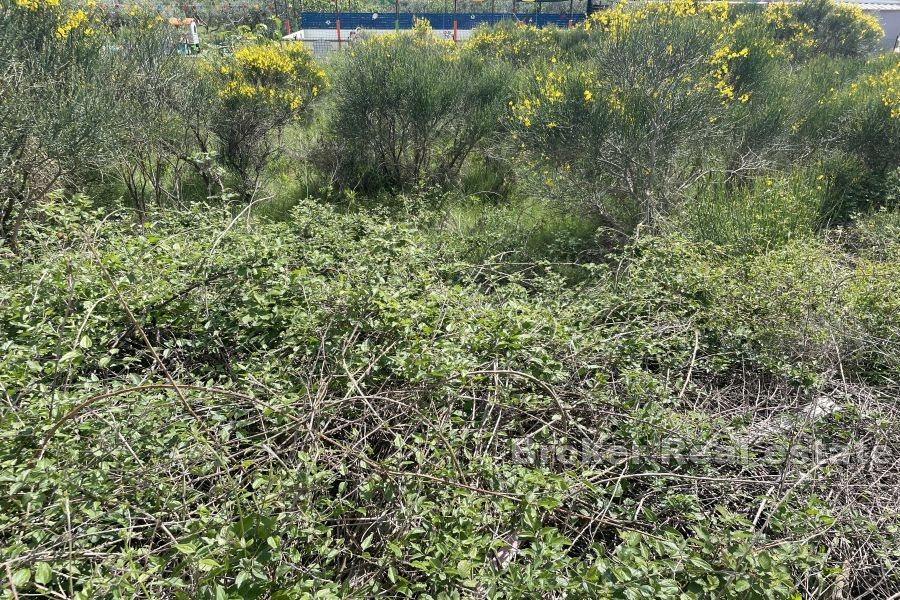 Building land near the sea