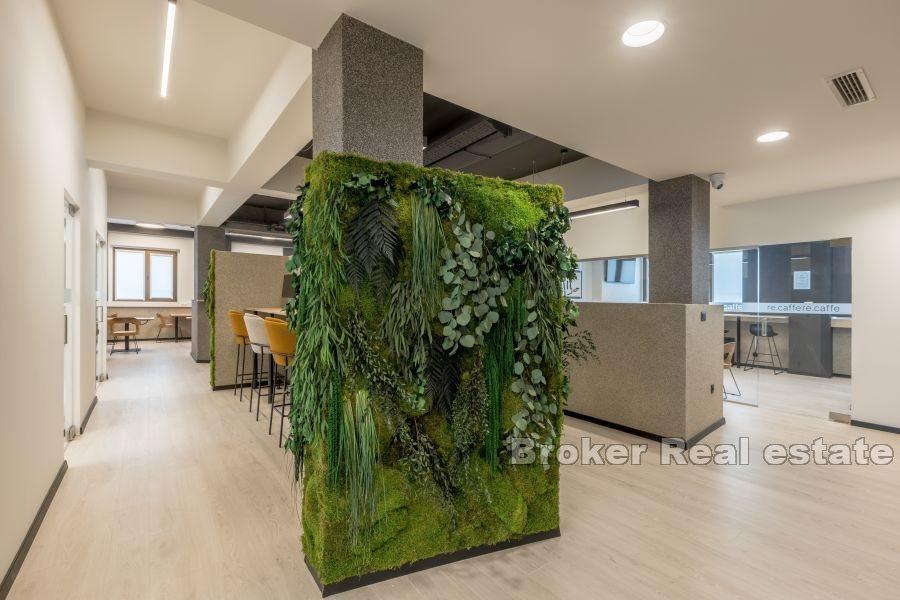 Split 3 - Modern furnished office space