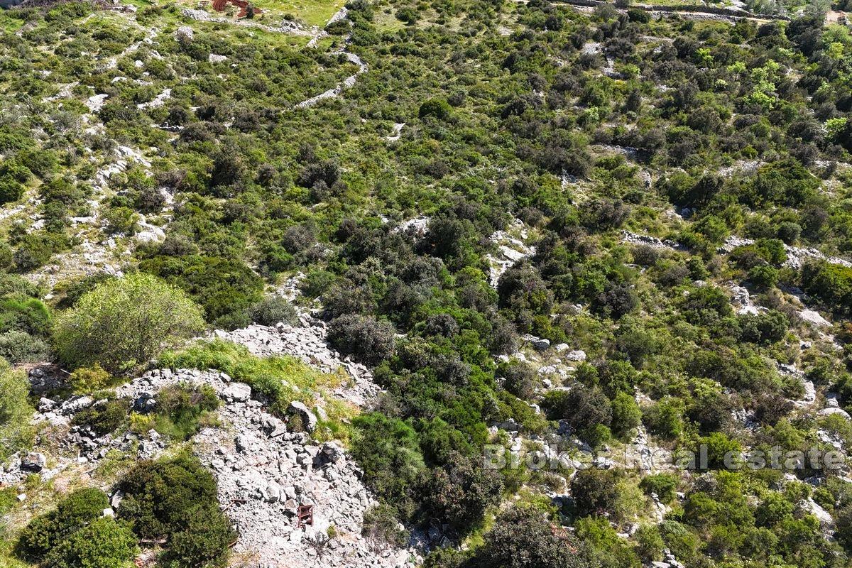 Terrain constructible proche de la mer