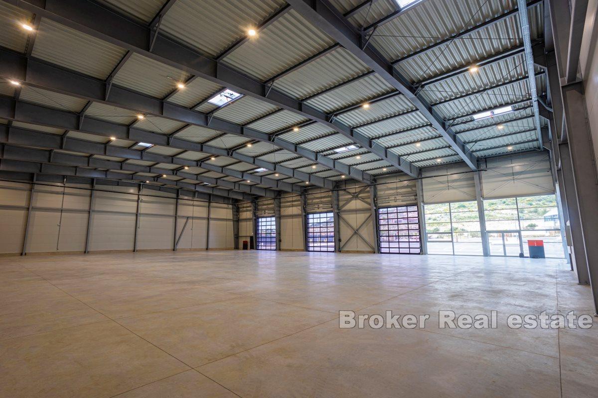 Commercial office space in the economic zone