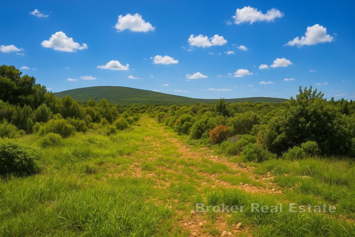 Działka budowlana w strefie M1 - pierwszy rząd do morza, idealna pod luksusowe wille i apartamenty