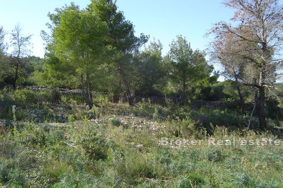 Building land first row to the sea