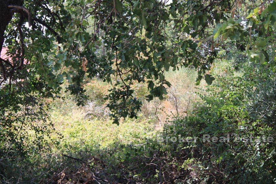 Byggeland med havutsikt