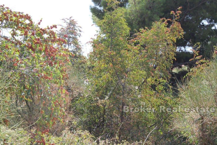 Земля под застройку с видом на море