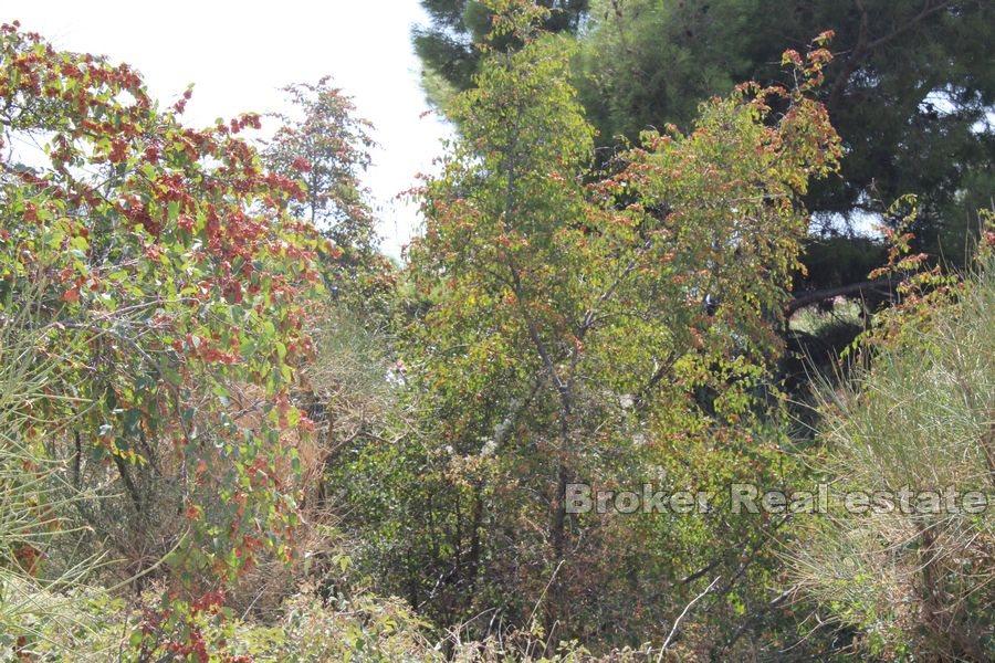 Byggeland med havutsikt