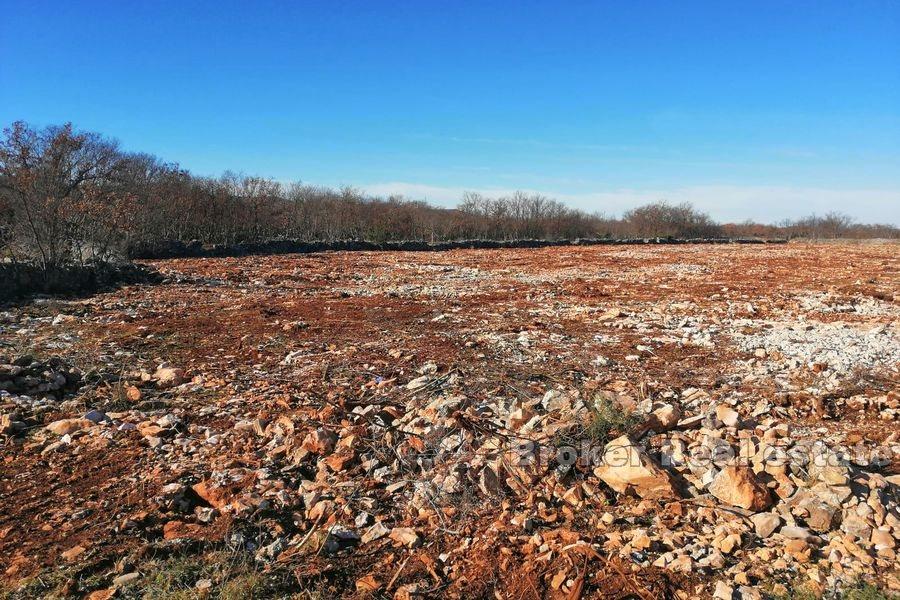 Building land in hinterland