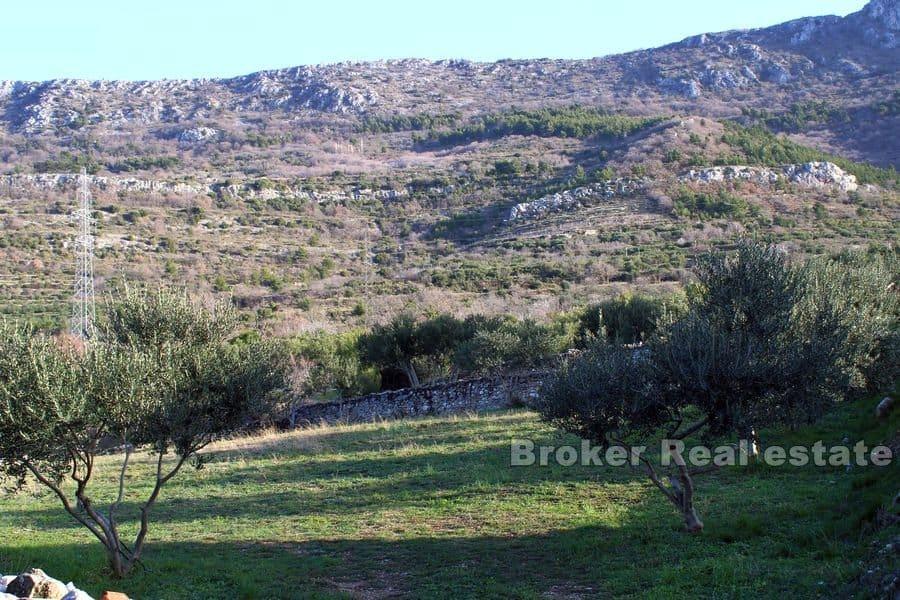 Terreno edificabile con vista mare panoramica