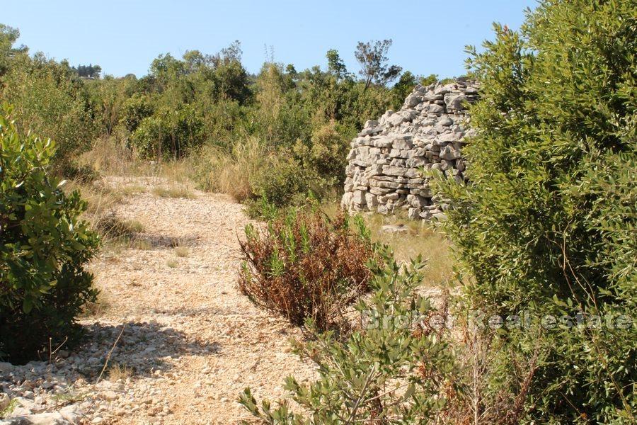 Byggnadsmark med havsutsikt