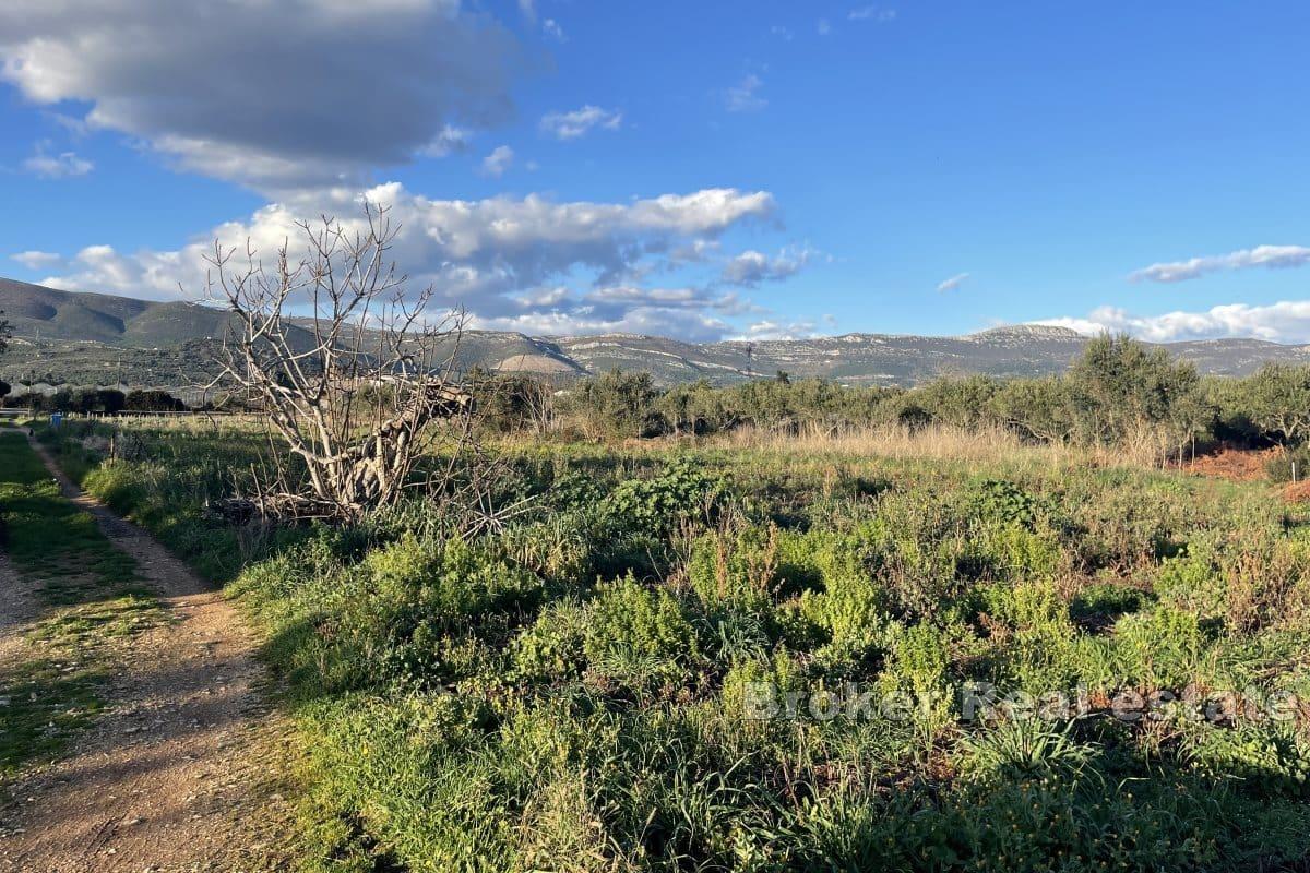 Building land in the first row to the sea